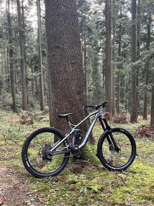 Canyon strive al 6.0 custom