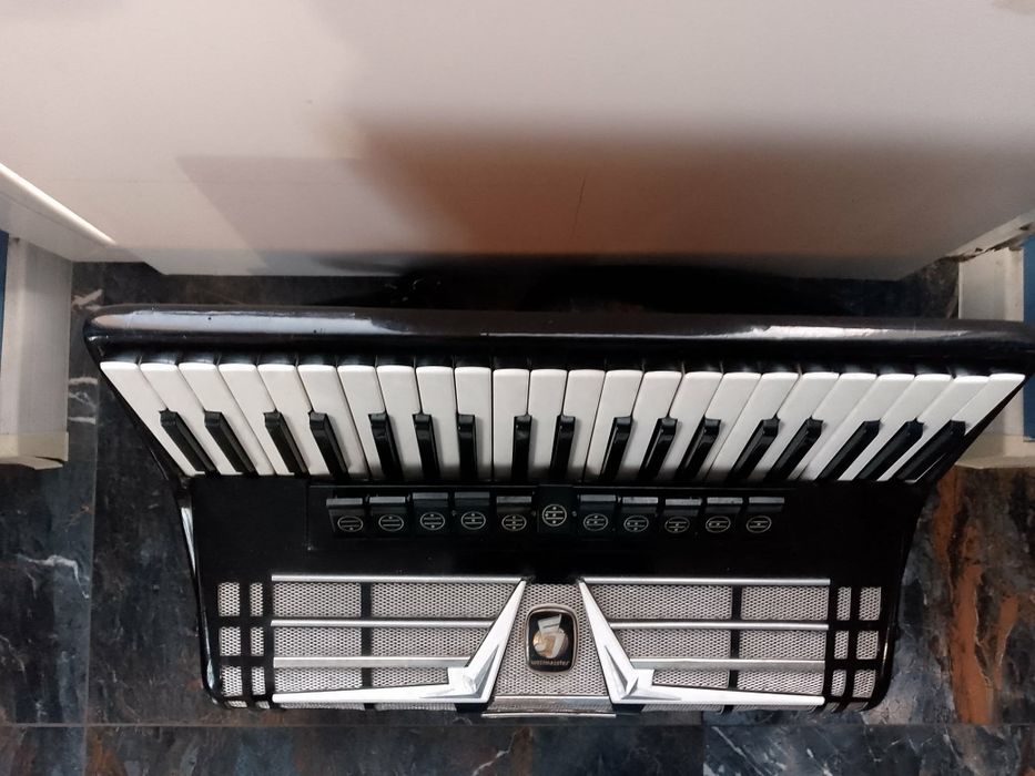 Akordeon weltmeister AMIGO