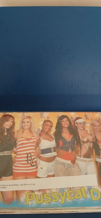 Dossier Pussycat Dolls, novo