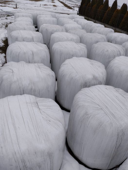 Baloty bele balot sianokiszonki siano 2025