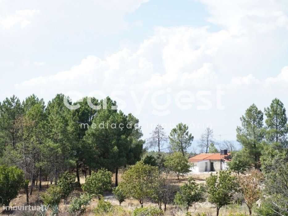 Estate with 4.3 hectares adjacent to the Historic Village of Sortelha