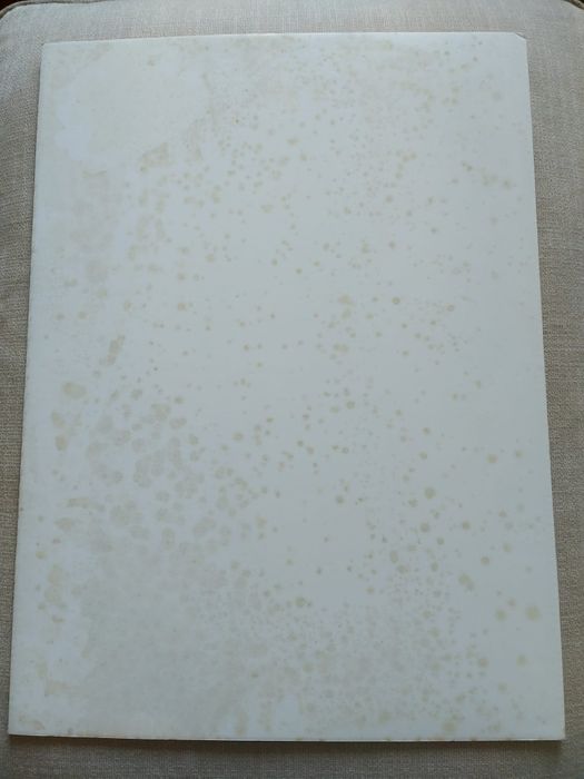 Serigrafia de Esther Pizarro Ctro Português de Serigrafia Arte quadros