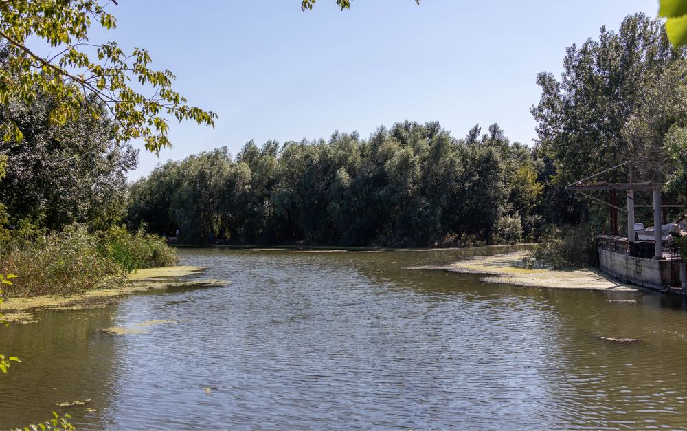 Здаю будинок + карпатський чан , баня та басейном , Маяки , Дністер