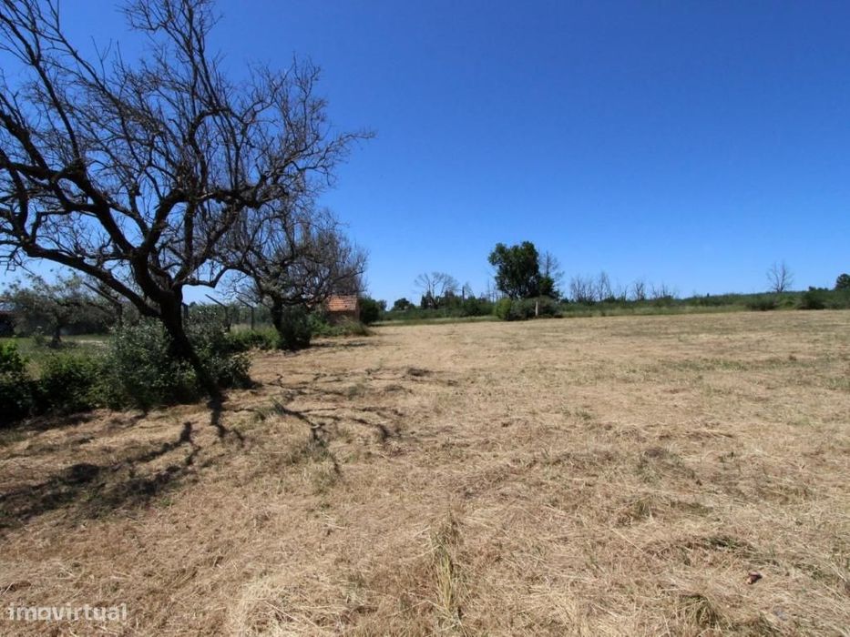 Terrenos em União Das Freguesias De Tourais E Lajes