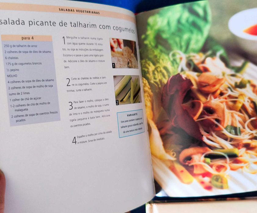 Lote 11 Livros Cozinha Saudável e Leve