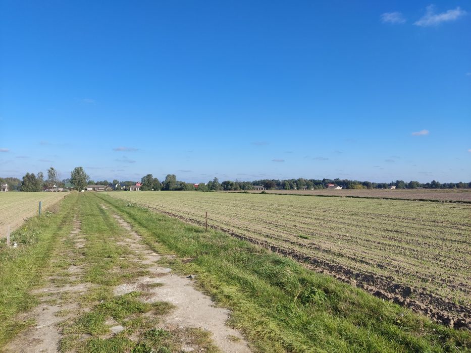 Działka Myśliszewice