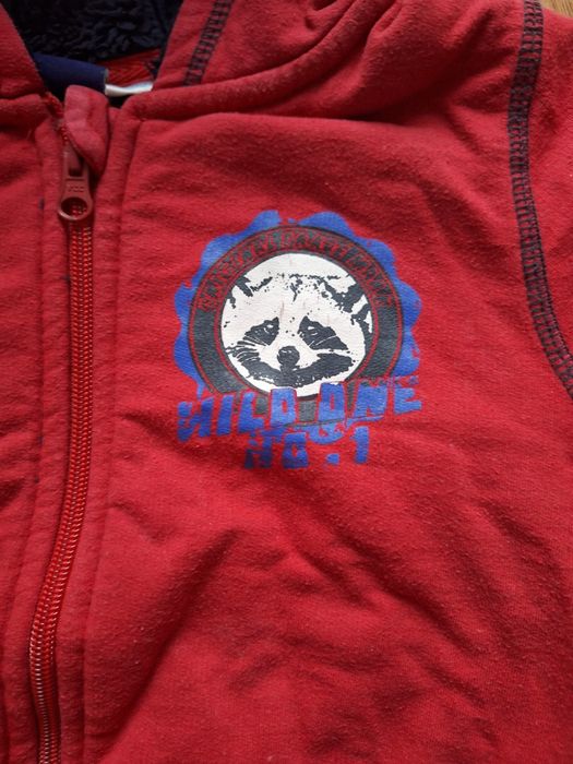 Bluza rozpinana dla chłopca 110 116 Lupilu