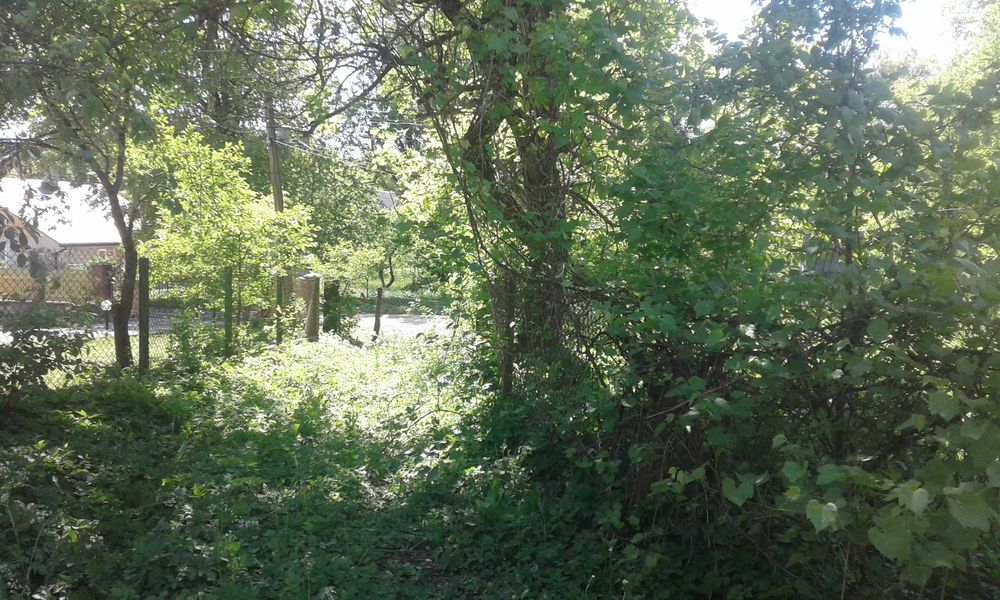 Земельна ділянка