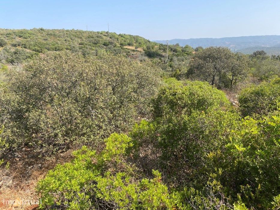 Lote de Terreno Rústico no Serro dos Passarinhos, Loulé, Algarve