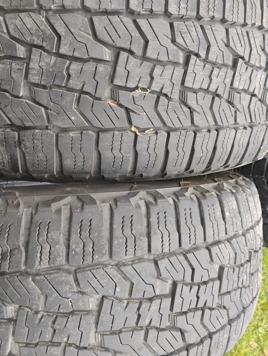 Wielosezonowe opony Falken A/T 225/55r19