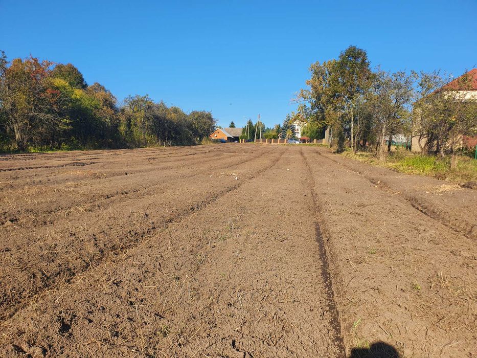 wycinka drzew,lasów/rekultywacja/głęboko/rębak/frezowanie/karczowanie