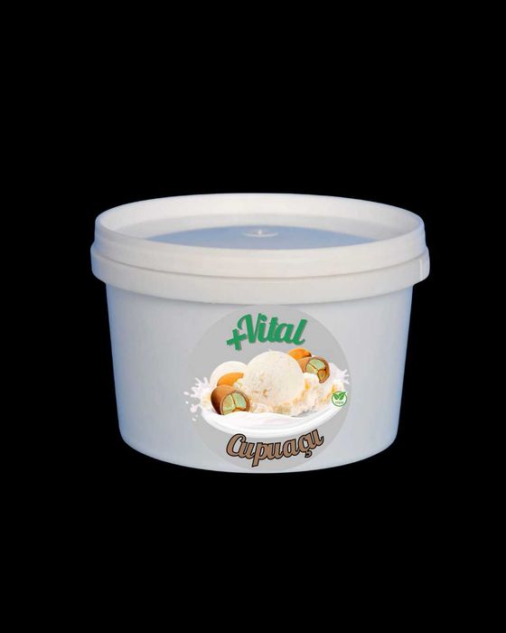 Açaí & Sorbets Artesanais – Vários Sabores | Formatos 5L, 1L e 500ml