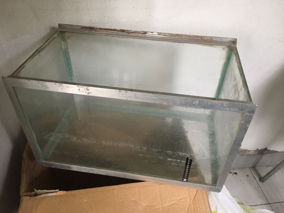 Aquarios pequenos e médios