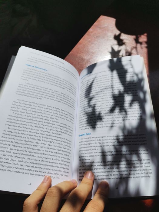 Livro de Resumos Amor de Perdição