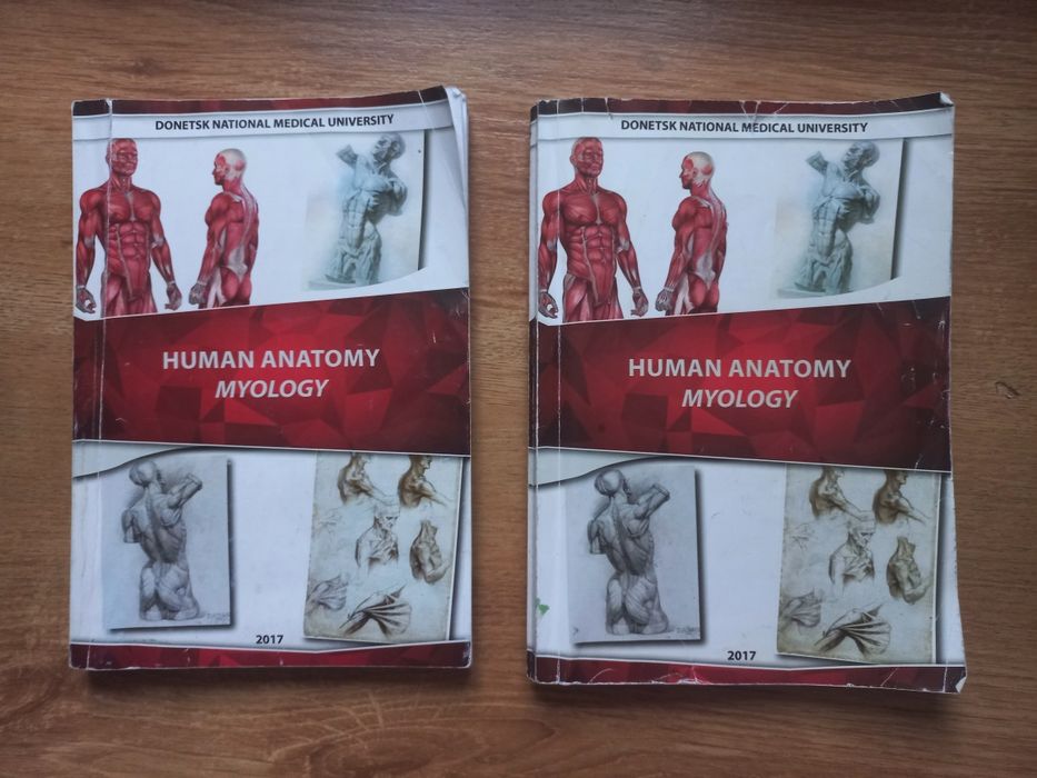 Human anatomy myology