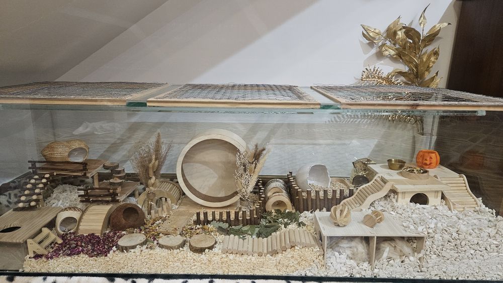 Chomikarium akwarium 150x50x50