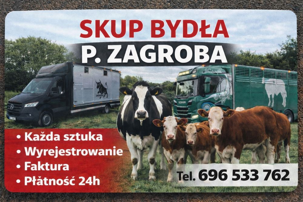 Skup Bydła !! !!!