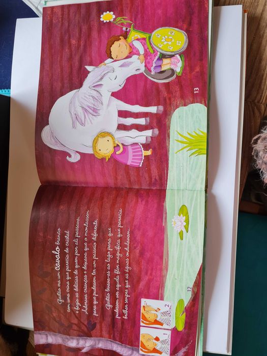 Livro Amizade sobre rodas