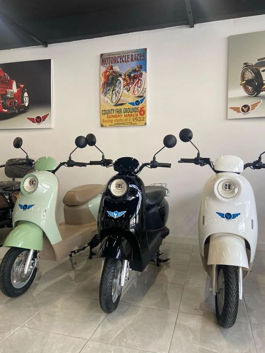 Outra não listada Outra S/ Carta Condução