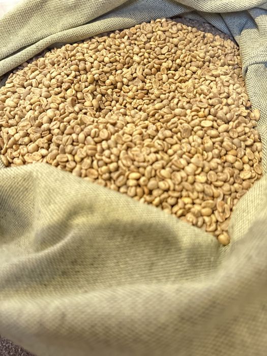 Кава в зернах Арабіка з Бразилії | Мішки від 15 до 50 кг | ОПТ