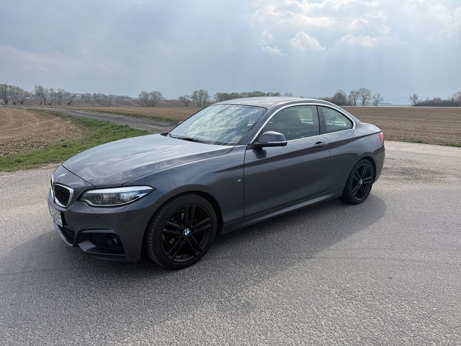 BMW Seria 2 Piękna mały przebieg M pakiet Full