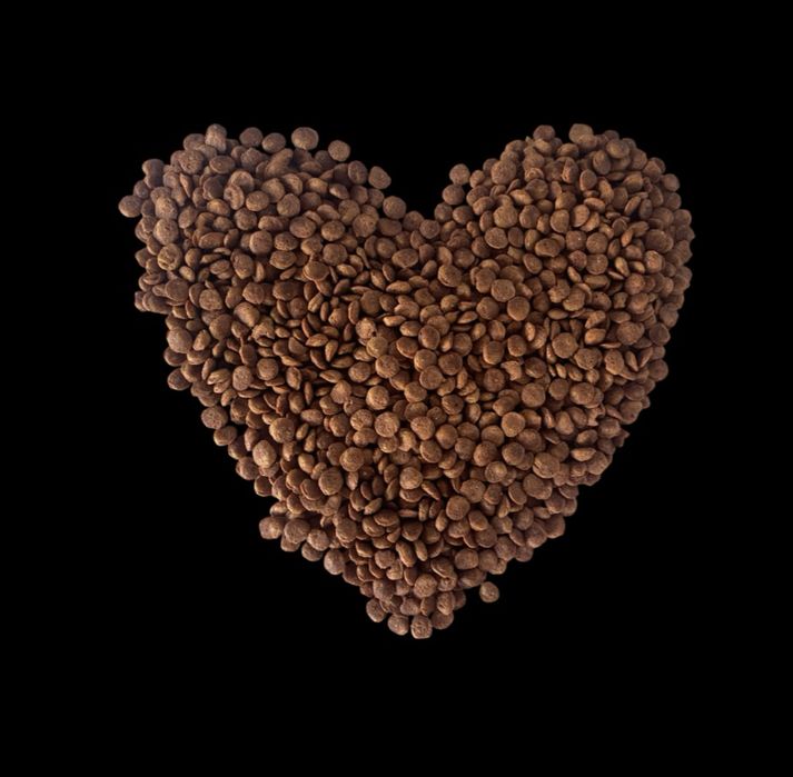 Корм для котів та собак, власного виробництва в Кривому Розі