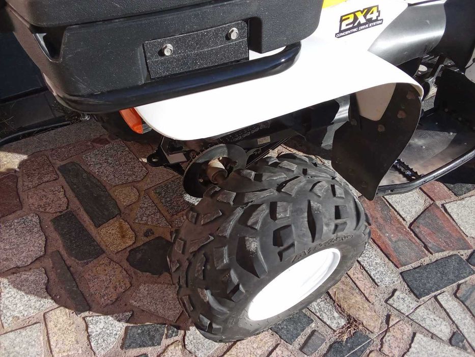 polaris trail blazer 250