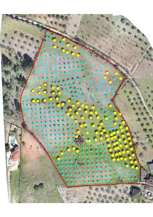 Quinta Agrícola – Vale Bom Pitez – Mirandela – Trás-os-Montes