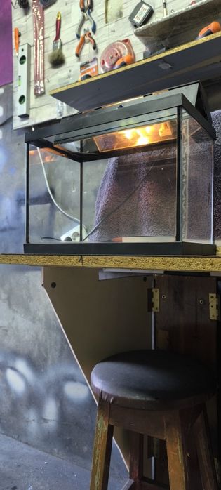 Pequeno Aquário ( 35x20x25 ) Como Novo