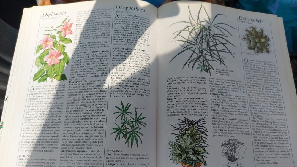 O Grande Livro das Plantas do Interior