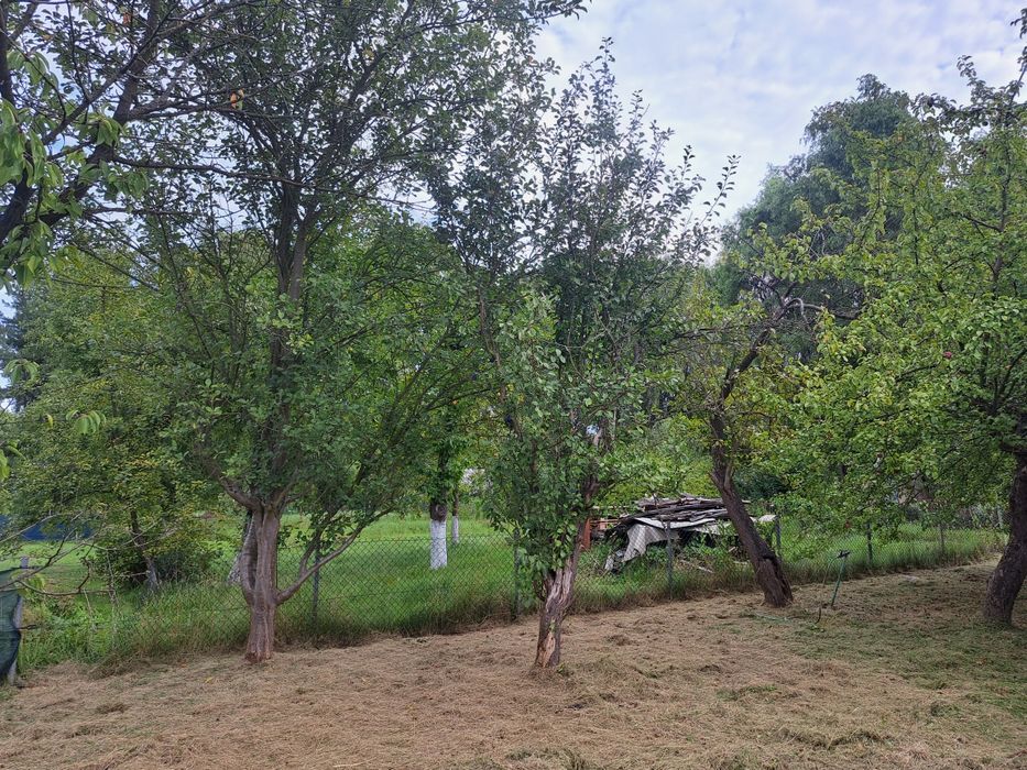 Odstąpię działkę ROD na Grobli 400m2