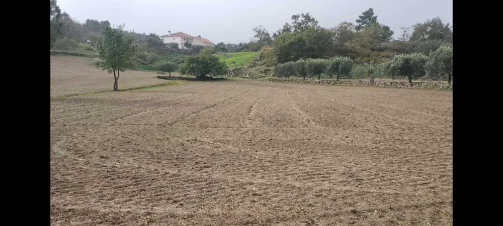 Terreno com 1,6h e viabilidade de construção apoio agricola
