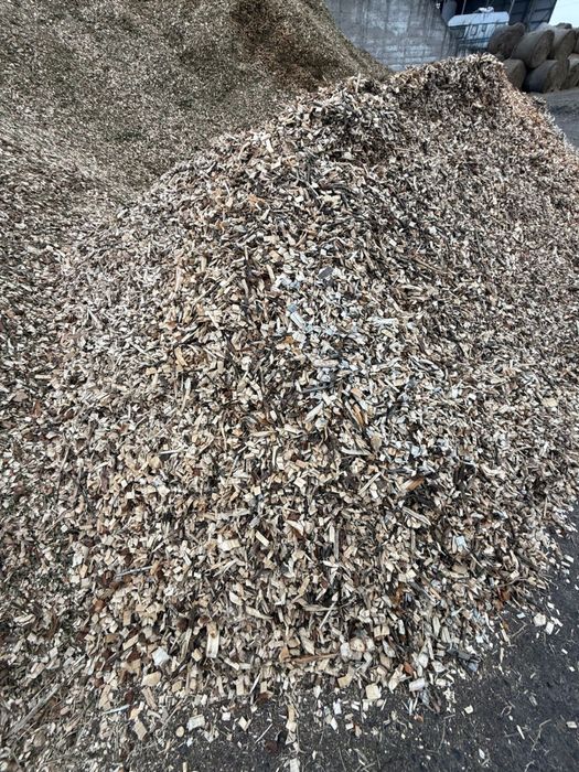 Продам щепу паливна,переважно порода сосна