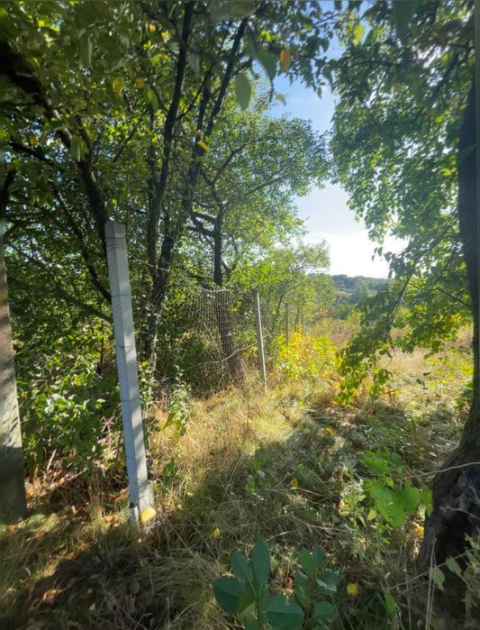 Продажа участка земли в СТ Припять (Васильковский район )