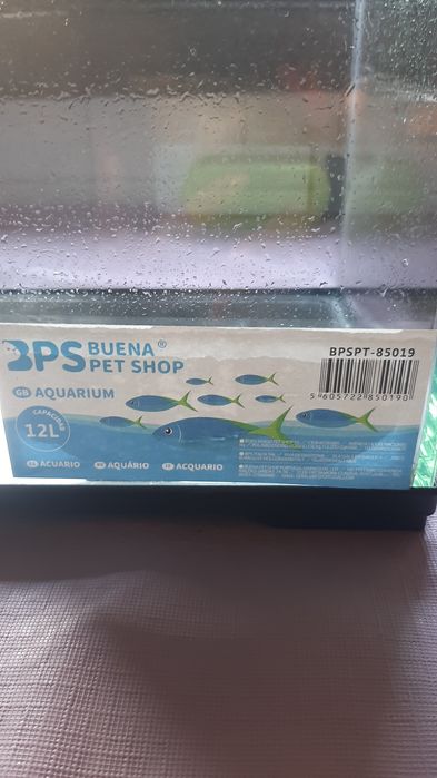 Aquário e acessórios para peixes de água fria