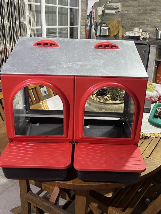 Caixa para galinhas poedeiras