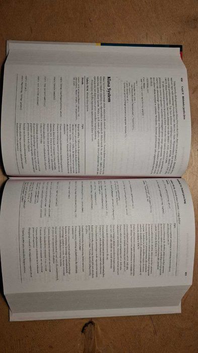 Java kompendium programisty Wydanie X Herbert Shildt