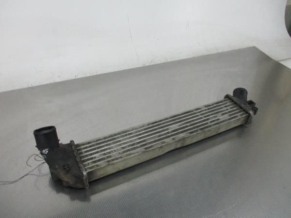 Radiador do intercooler RENAULT Kangoo (KC0/1_)