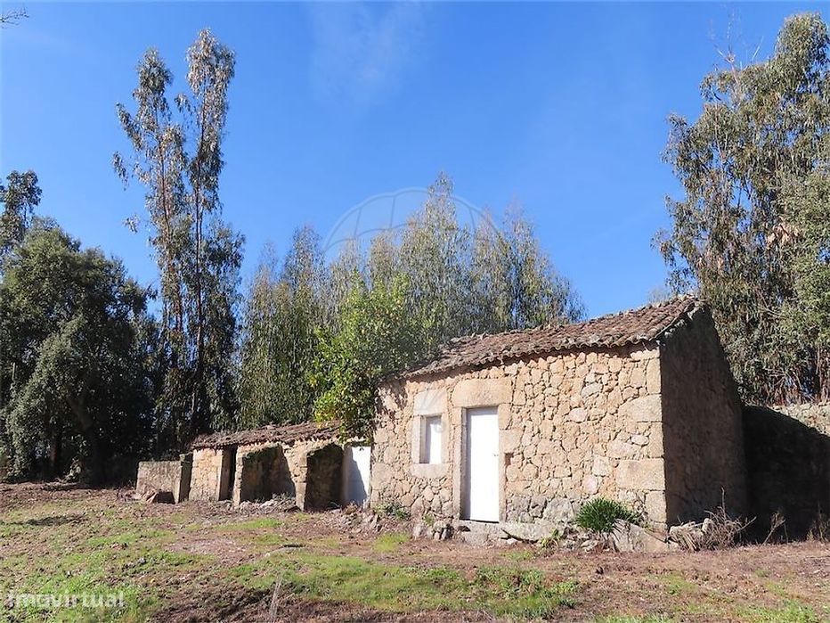 Quinta  para venda — São Miguel de Acha, Castelo Branco