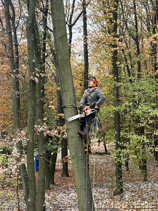 Обрізка видалення дерев, зріз аварійних, чистка ділянок