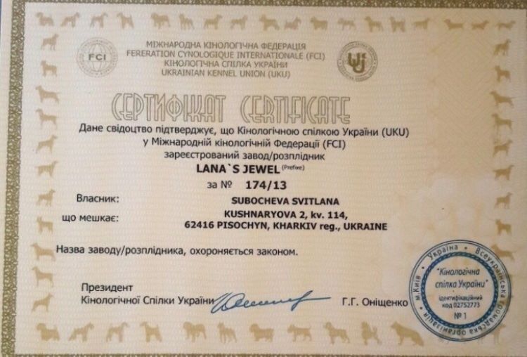 Девочки. Скидка к празднику.КСУ