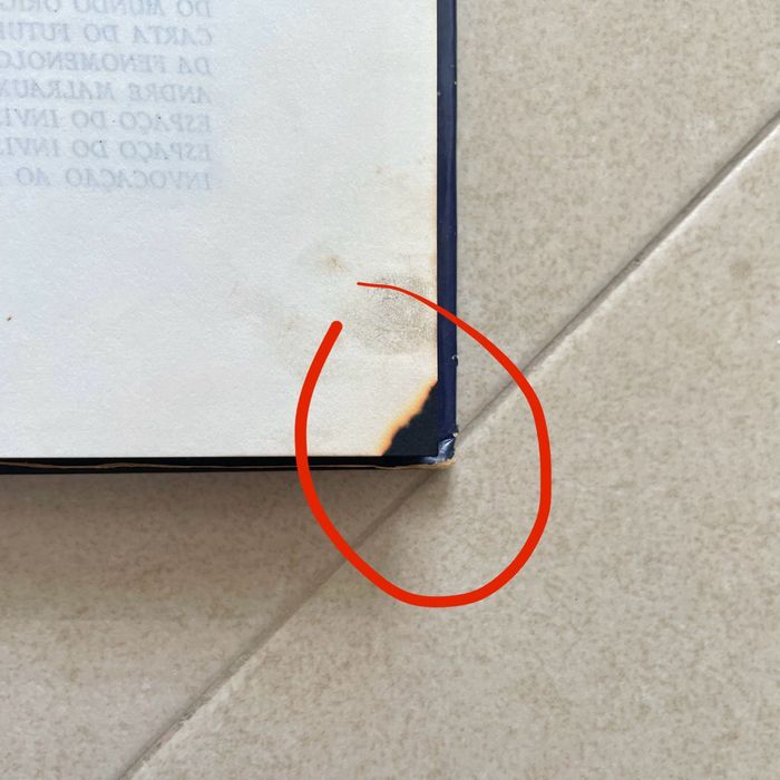 Livro - Aparição, Vergílio Ferreira, 1974