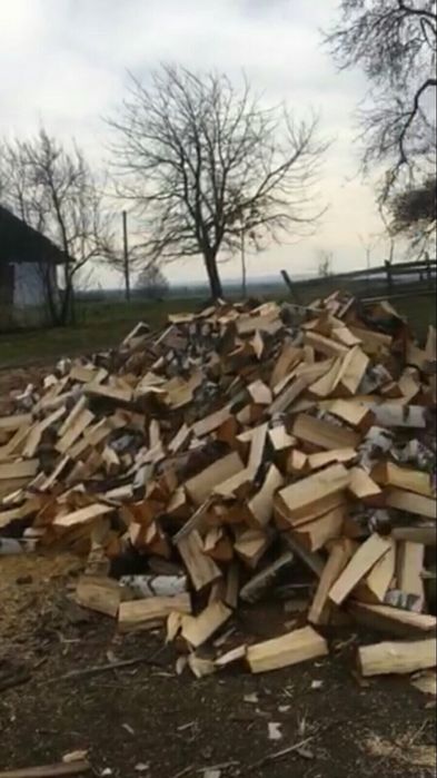 Продам дрова твердоі породи
