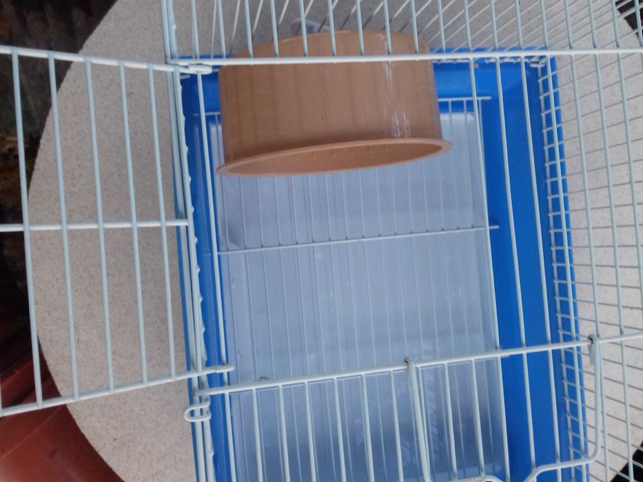 Клітка для хом'яків, щурів повний комплект