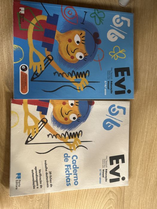 Manual e caderno fichas Educacao visual 5 e 6 anos