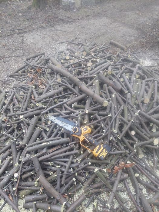 Piła łańcuchowa akumulatorowa DeWalt 8 cali