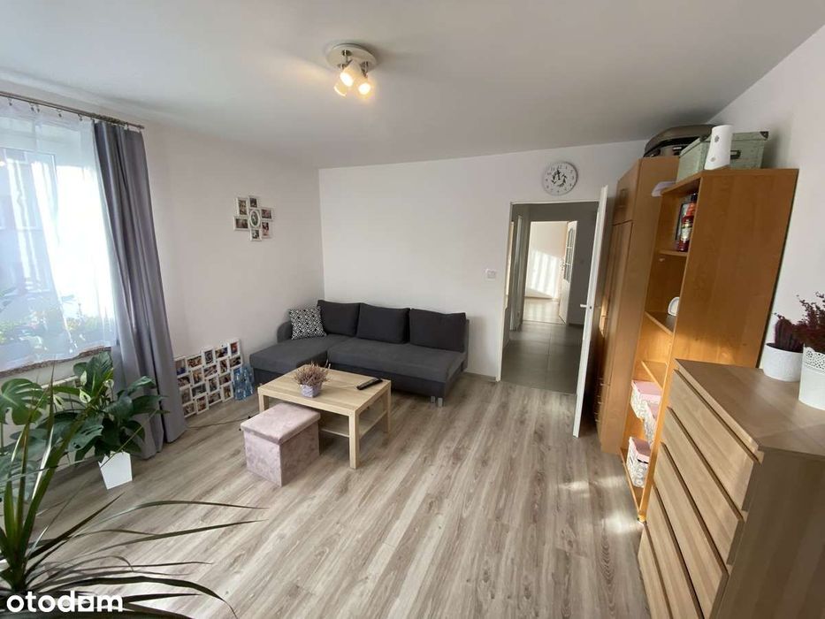 Mieszkanie 2 pokojowe na wynajem
