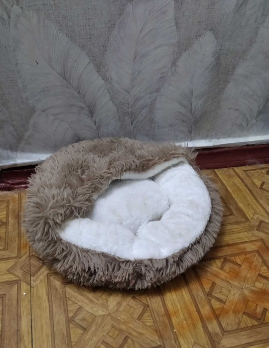 лежанка для котика або маленького песика