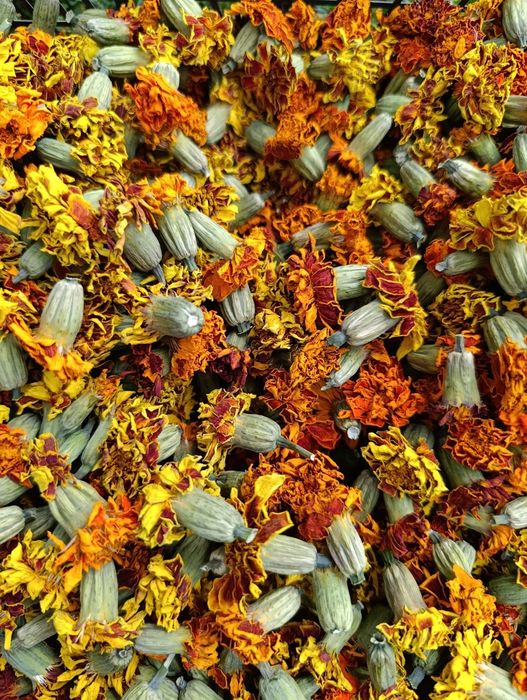 Продам сухий цвіт чорнобривців