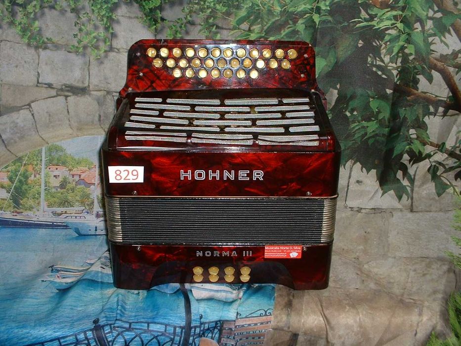 Concertina a venda n.829